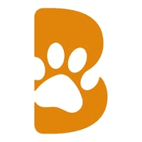 BetterBone